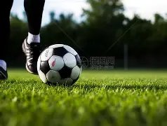 哈尔滨亚冬,会隆重开幕,照亮梦想征,澳客,澳客娱乐,澳客APP,澳客下载,澳客在线,澳客官网